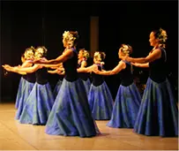 2009年の様子